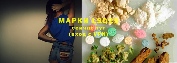 дмт Новодвинск