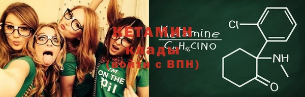 дмт Новодвинск