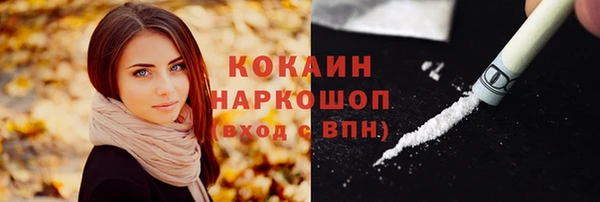 хмурый Нея