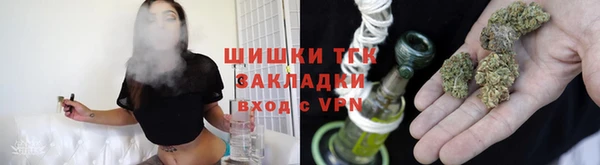 стаф Новокубанск