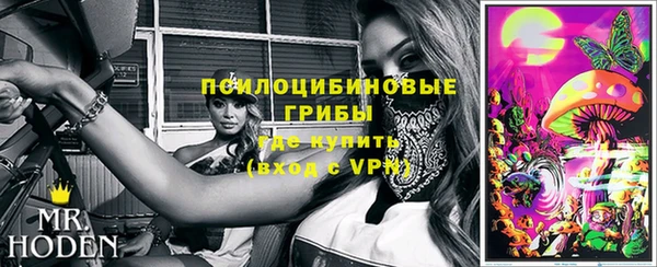 стаф Новокубанск