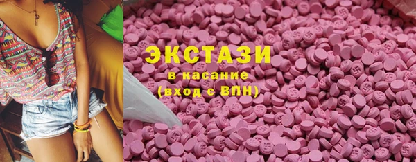 стаф Новокубанск