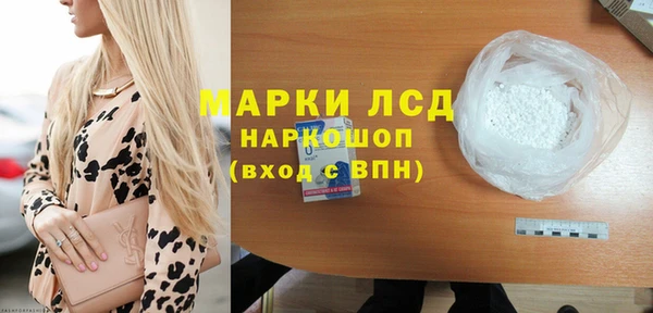 стаф Новокубанск