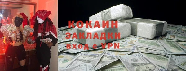 стаф Новокубанск